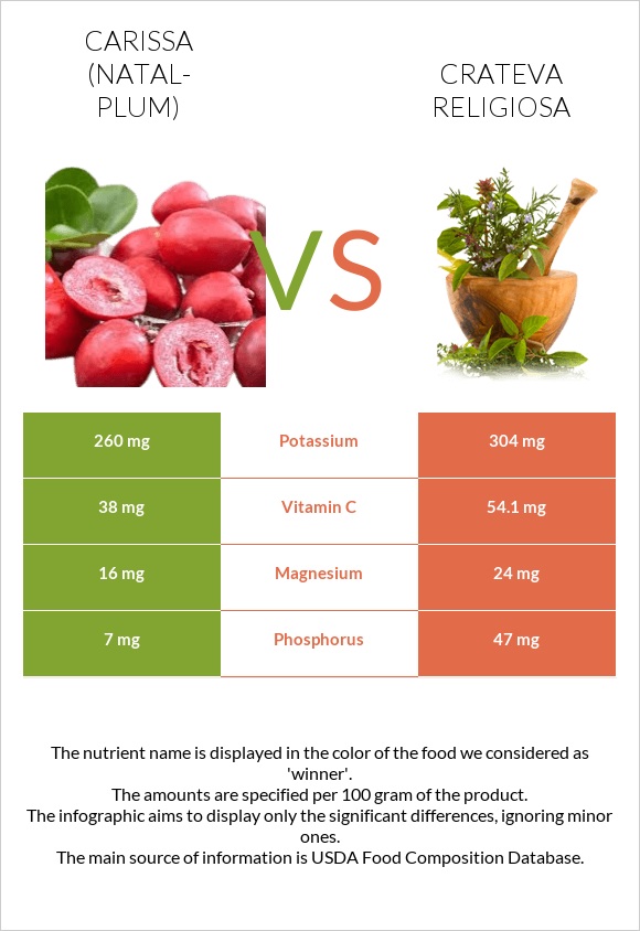 Carissa (natal-plum) vs Crateva religiosa infographic