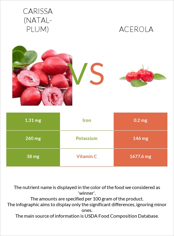 Carissa (natal-plum) vs Acerola infographic