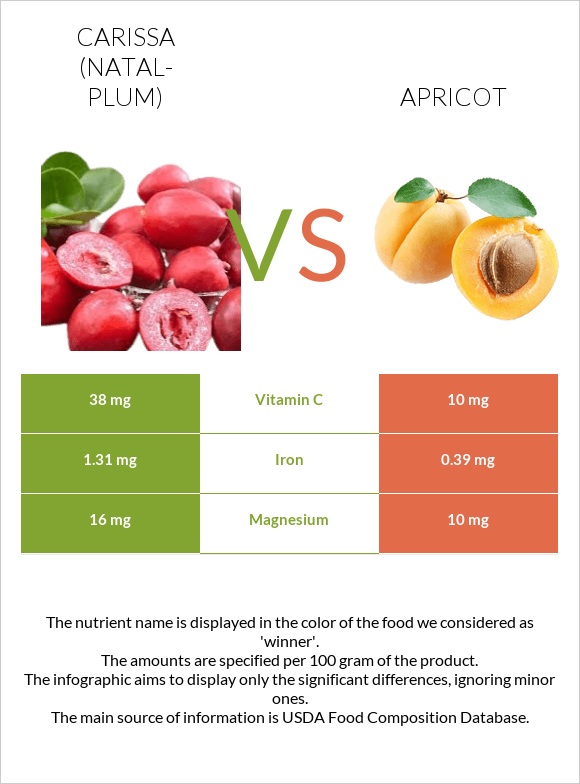 Carissa (natal-plum) vs Apricot infographic