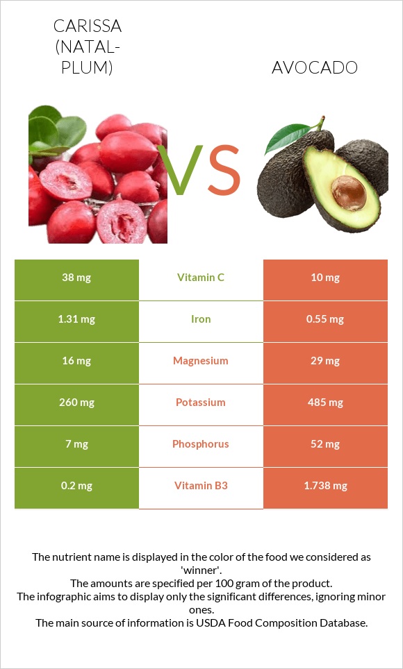 Carissa (natal-plum) vs Avocado infographic