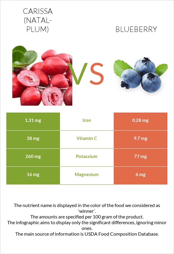 Carissa (natal-plum) vs Blueberry infographic