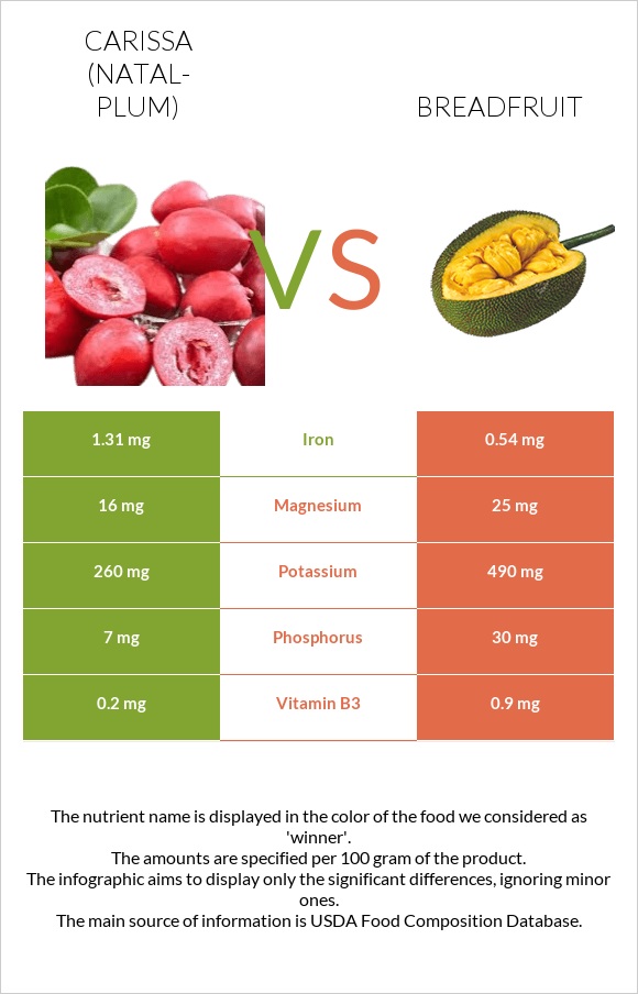 Carissa (natal-plum) vs Breadfruit infographic