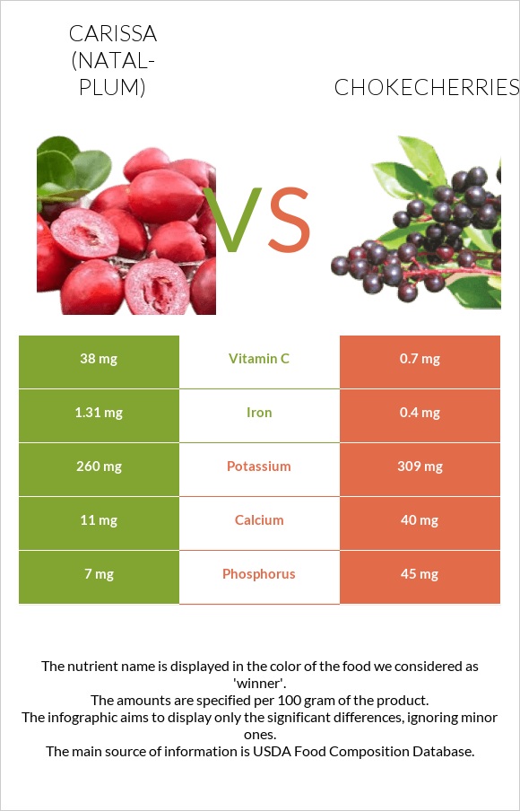 Carissa (natal-plum) vs Chokecherries infographic