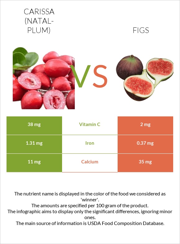 Carissa (natal-plum) vs Figs infographic