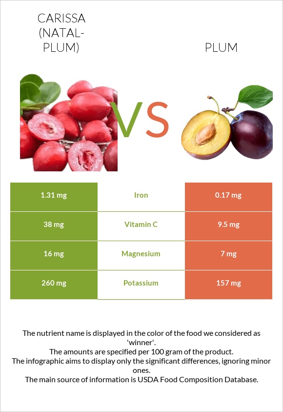 Carissa (natal-plum) vs Plum infographic