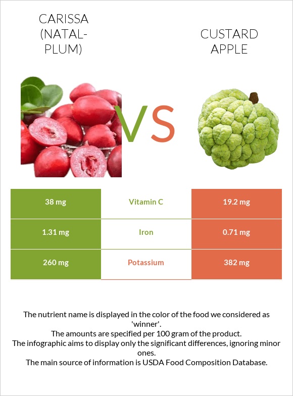 Carissa (natal-plum) vs Custard apple infographic