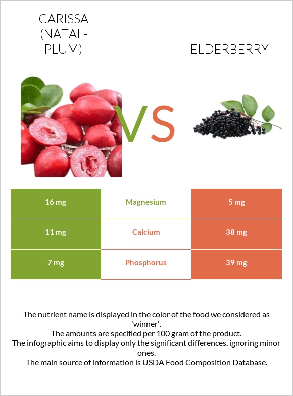 Carissa (natal-plum) vs Elderberry infographic