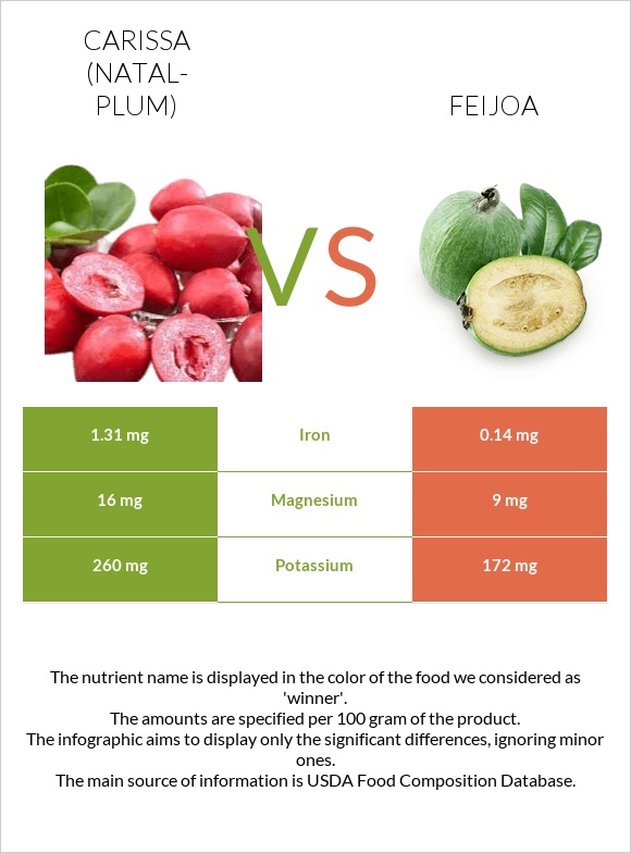 Carissa (natal-plum) vs Feijoa infographic