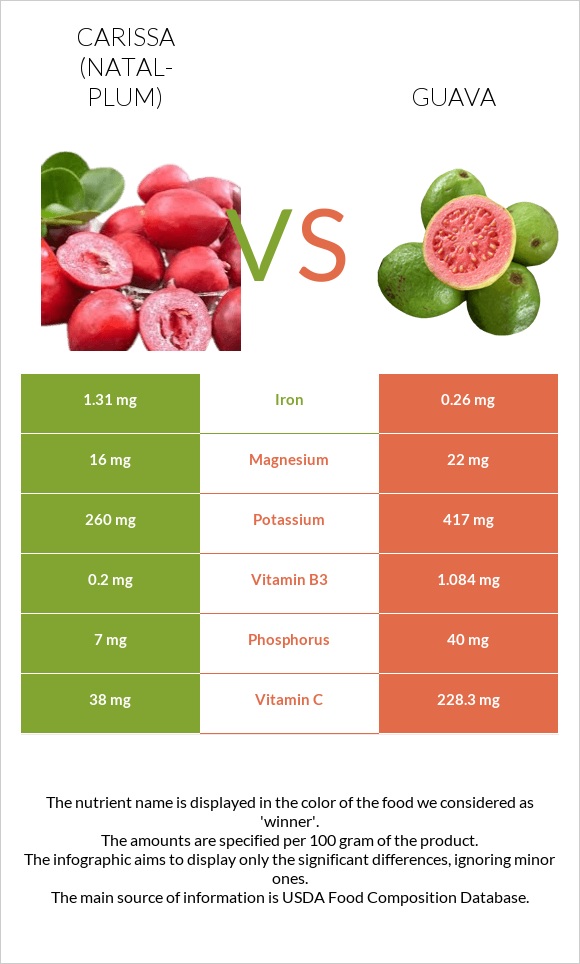 Carissa (natal-plum) vs Guava infographic