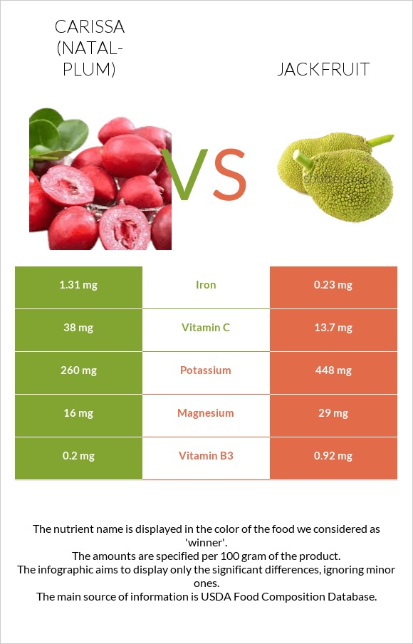 Carissa (natal-plum) vs Jackfruit infographic