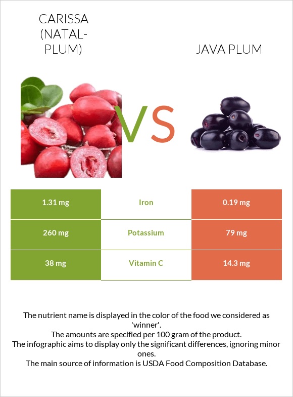 Carissa (natal-plum) vs Java plum infographic