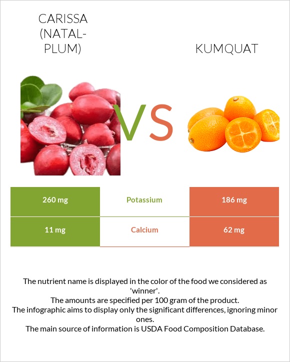 Carissa (natal-plum) vs Kumquat infographic