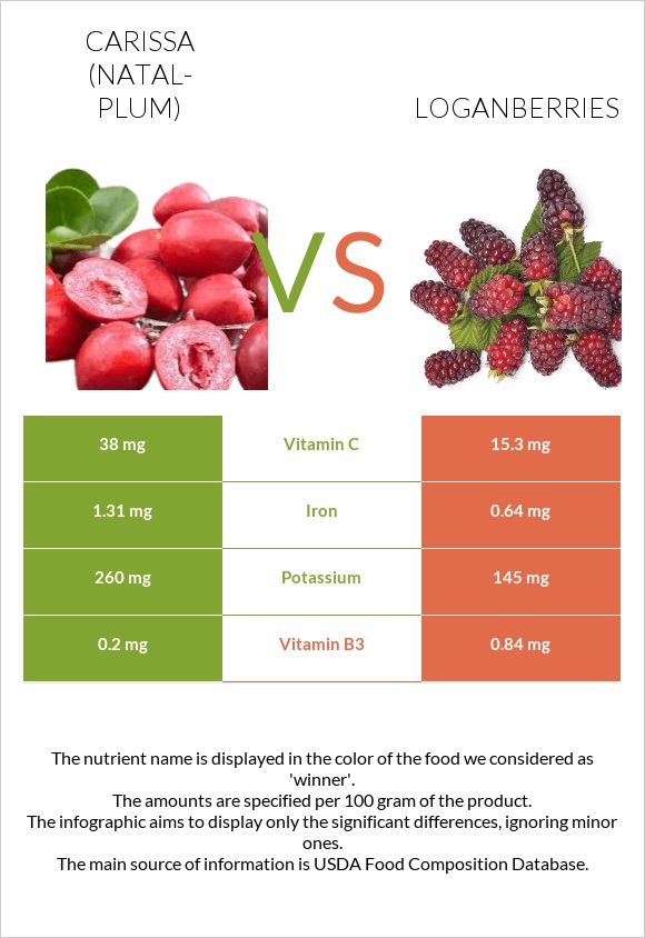 Carissa (natal-plum) vs Loganberries infographic