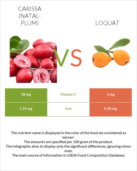 Carissa (natal-plum) vs Loquat infographic