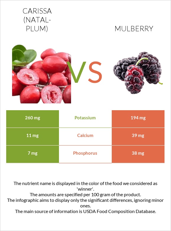 Carissa (natal-plum) vs Mulberry infographic