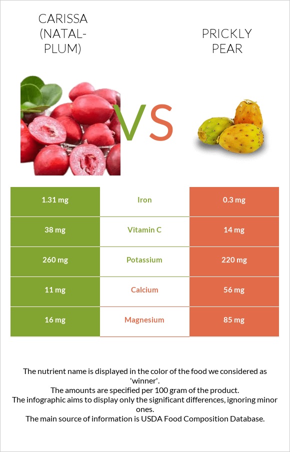 Carissa (natal-plum) vs Prickly pear infographic