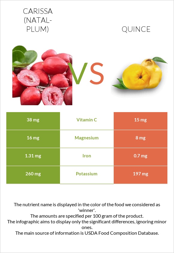 Carissa (natal-plum) vs Quince infographic