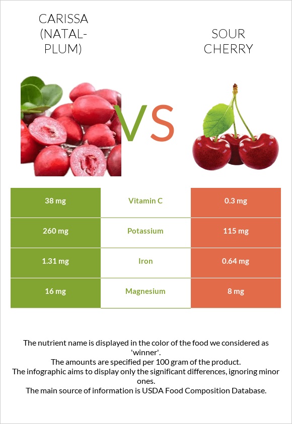 Carissa (natal-plum) vs Sour cherry infographic