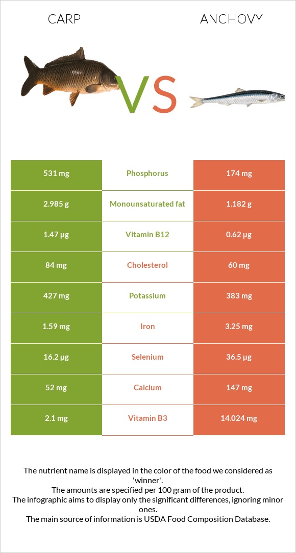 Carp vs Anchovy infographic