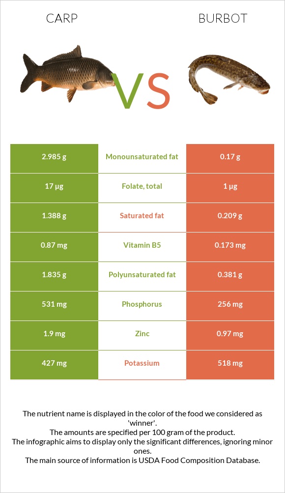 Carp vs Burbot infographic