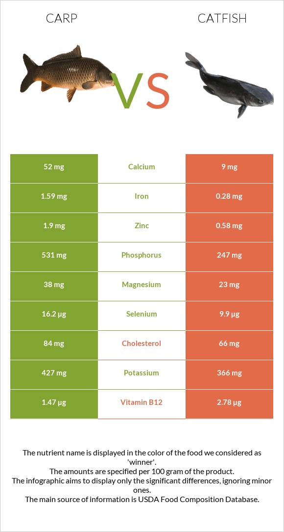 Carp vs Catfish infographic