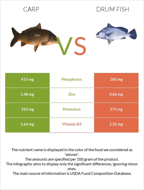 Carp vs Drum fish infographic