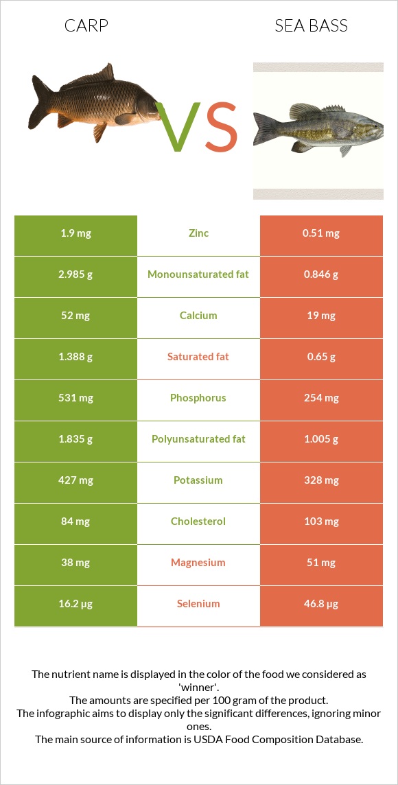 Carp vs Bass infographic