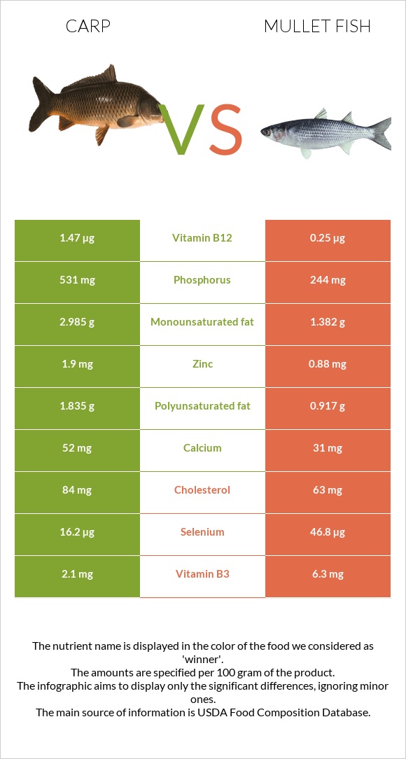 Carp vs Mullet fish infographic
