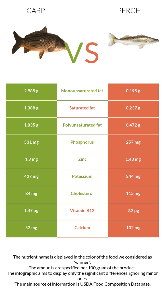 Carp vs Perch infographic