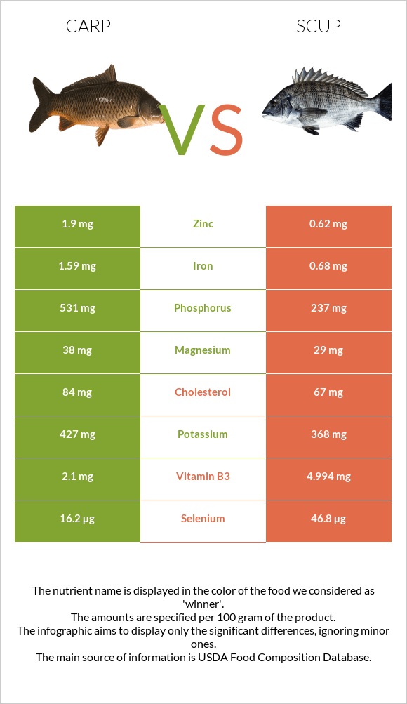 Carp vs Scup infographic