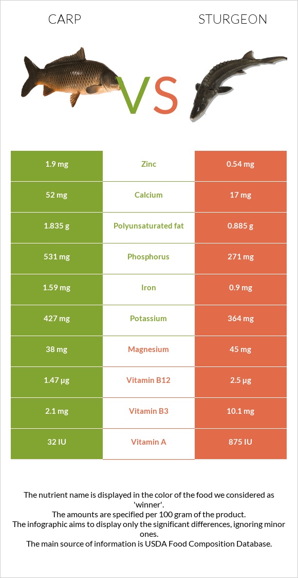 Carp vs Sturgeon infographic