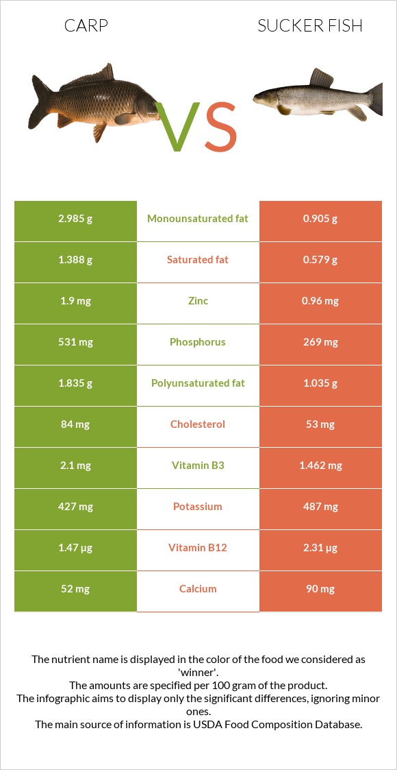 Carp vs Sucker fish infographic