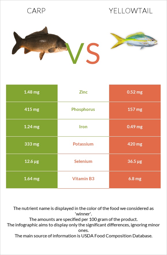 Carp vs Yellowtail infographic