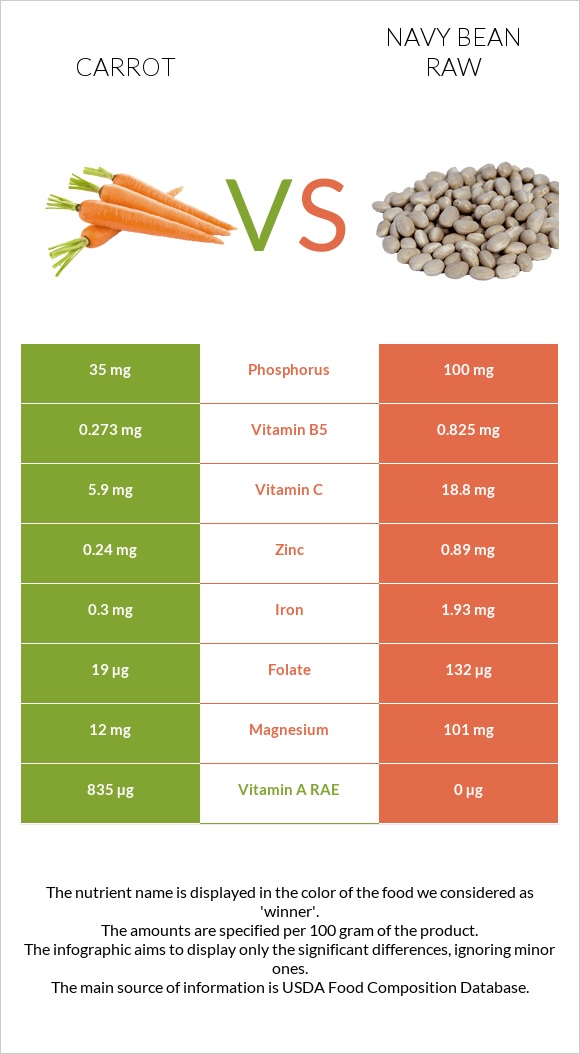 Carrot vs Navy bean raw infographic