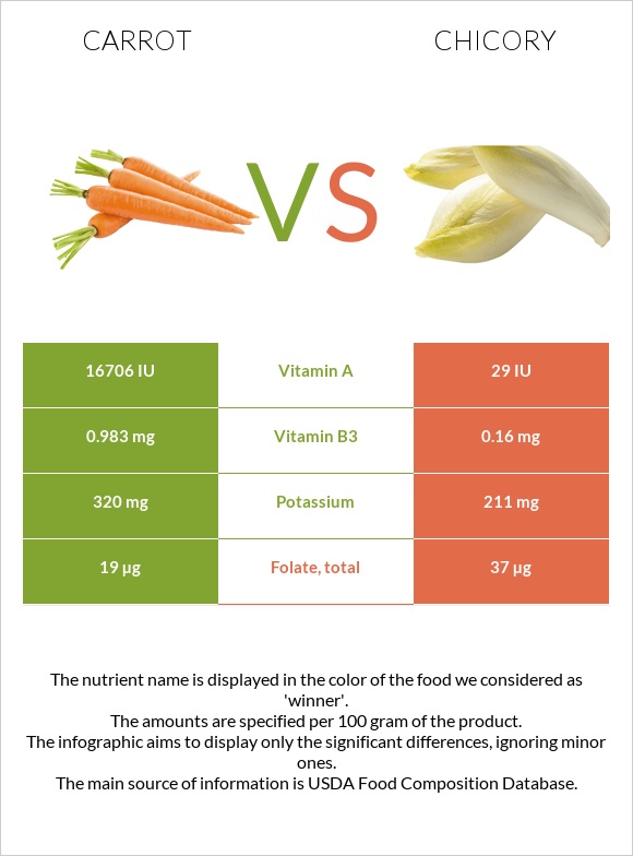 Carrot vs Chicory infographic