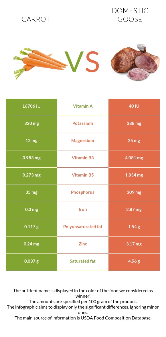 Carrot vs Domestic goose infographic