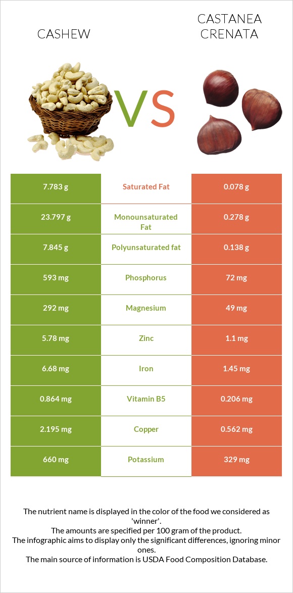 Cashew vs Castanea crenata infographic