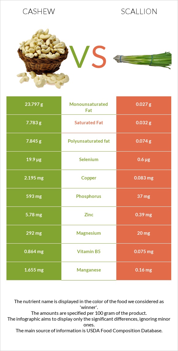 Cashew vs Scallion infographic