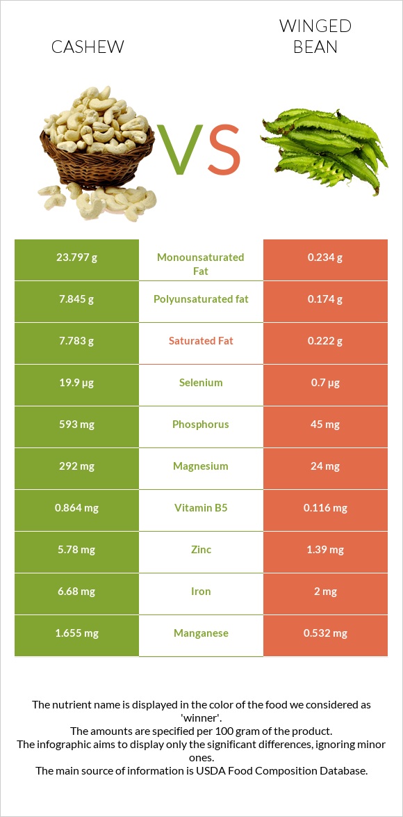 Cashew vs Winged bean infographic