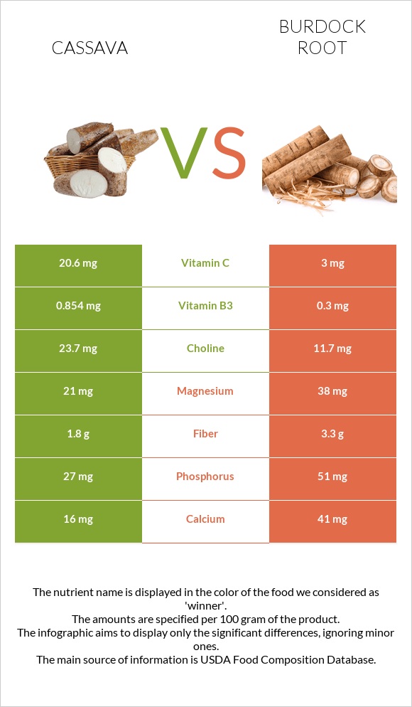 Cassava vs Կռատուկի արմատ (արկտի արմատ) infographic