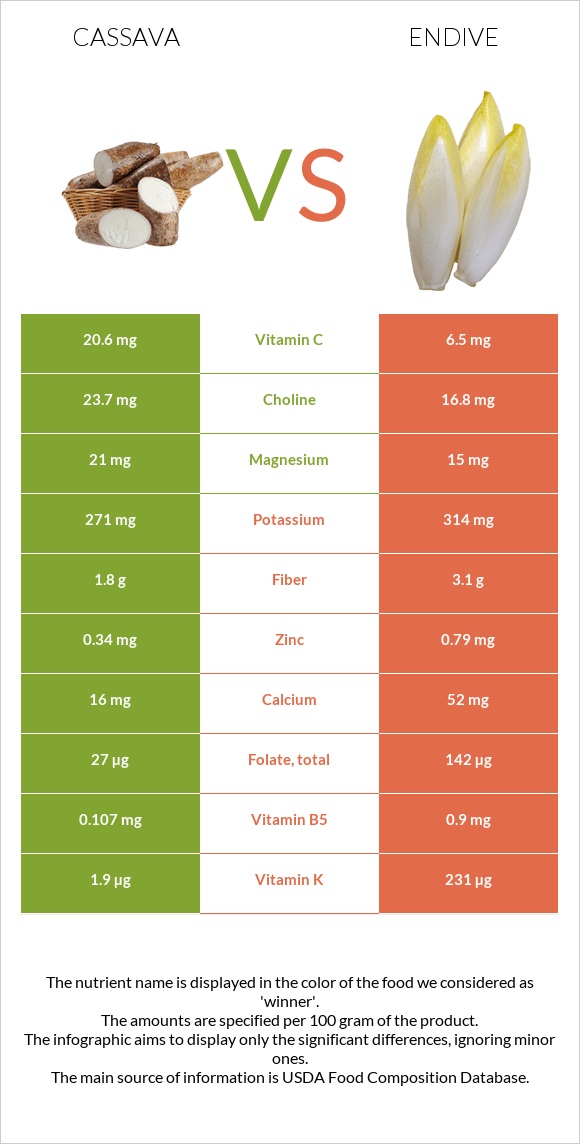 Cassava vs Endive infographic