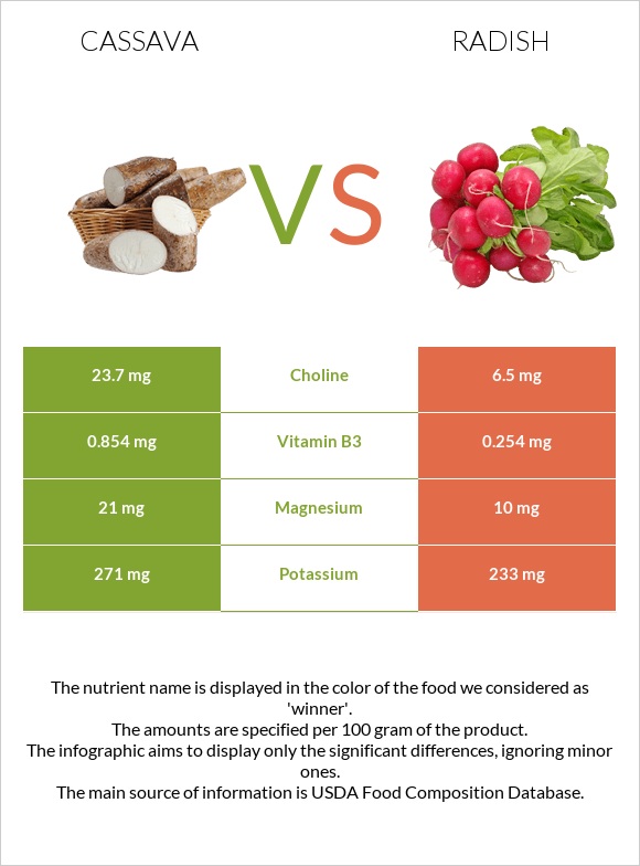 Cassava vs Radish infographic