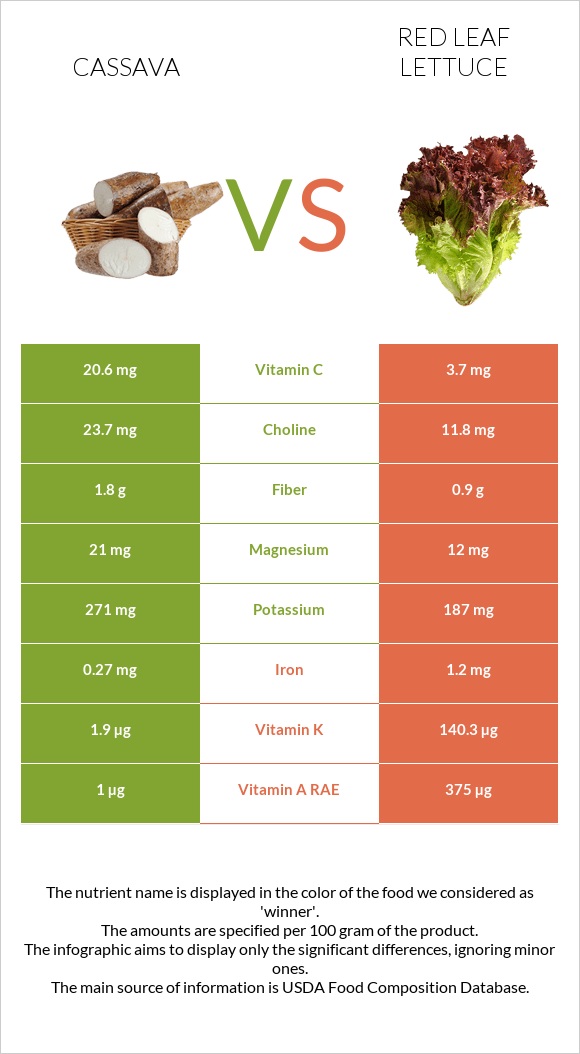 Cassava vs Red leaf lettuce infographic