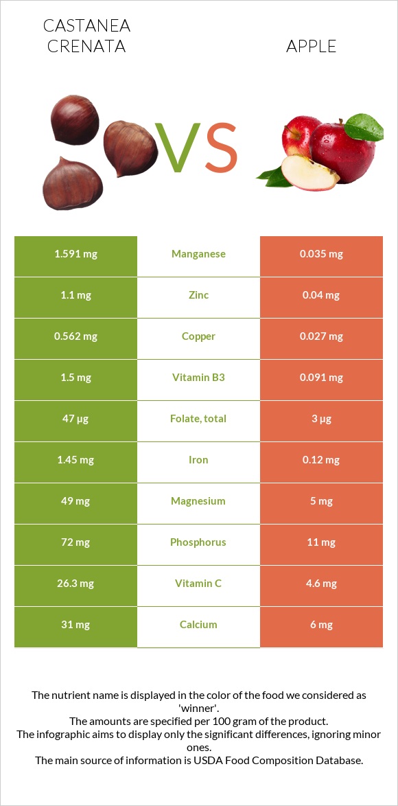 Castanea crenata vs Apple infographic