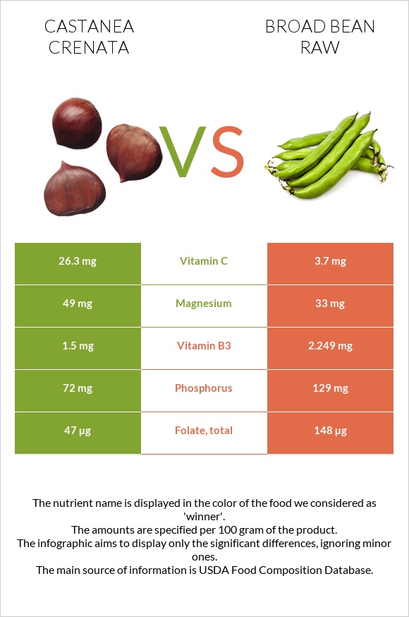 Castanea crenata vs Broad bean raw infographic