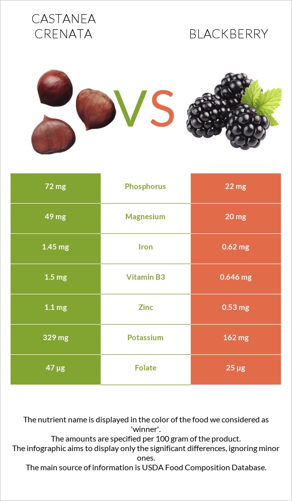 Castanea crenata vs Blackberry infographic