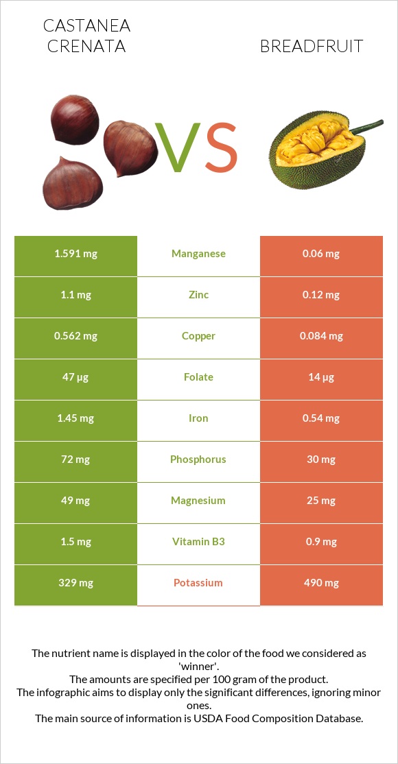 Castanea crenata vs Breadfruit infographic