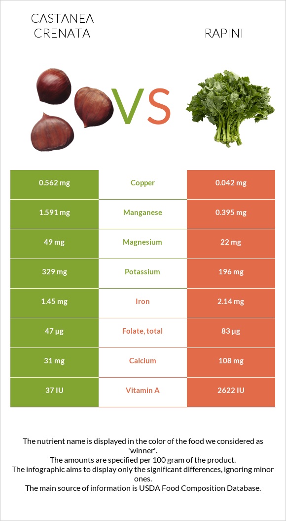 Castanea crenata vs Rapini infographic