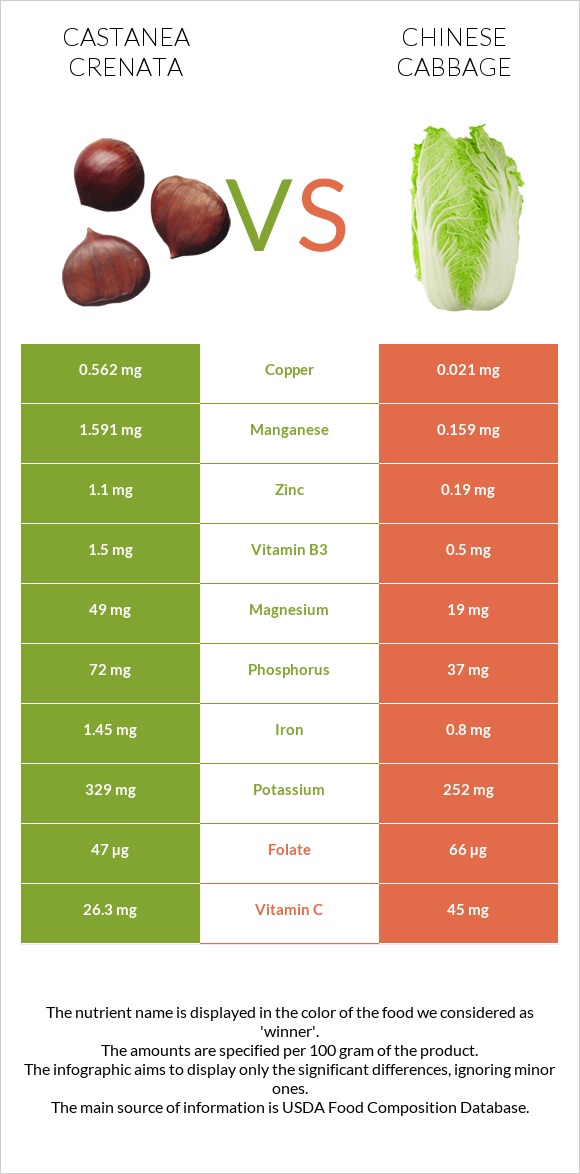Castanea crenata vs Chinese cabbage infographic