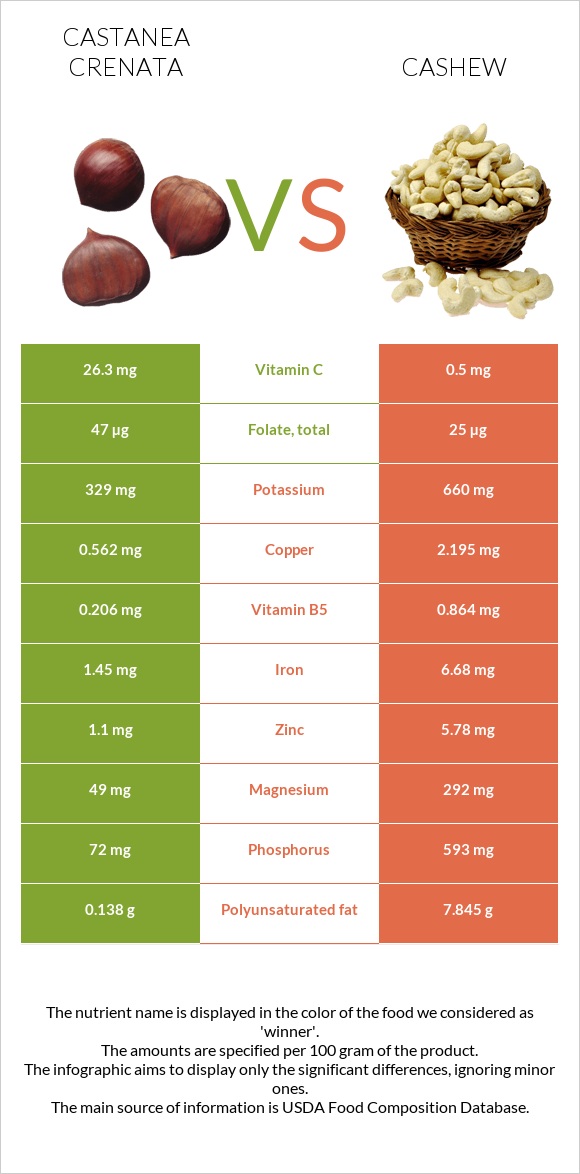 Castanea crenata vs Cashew infographic